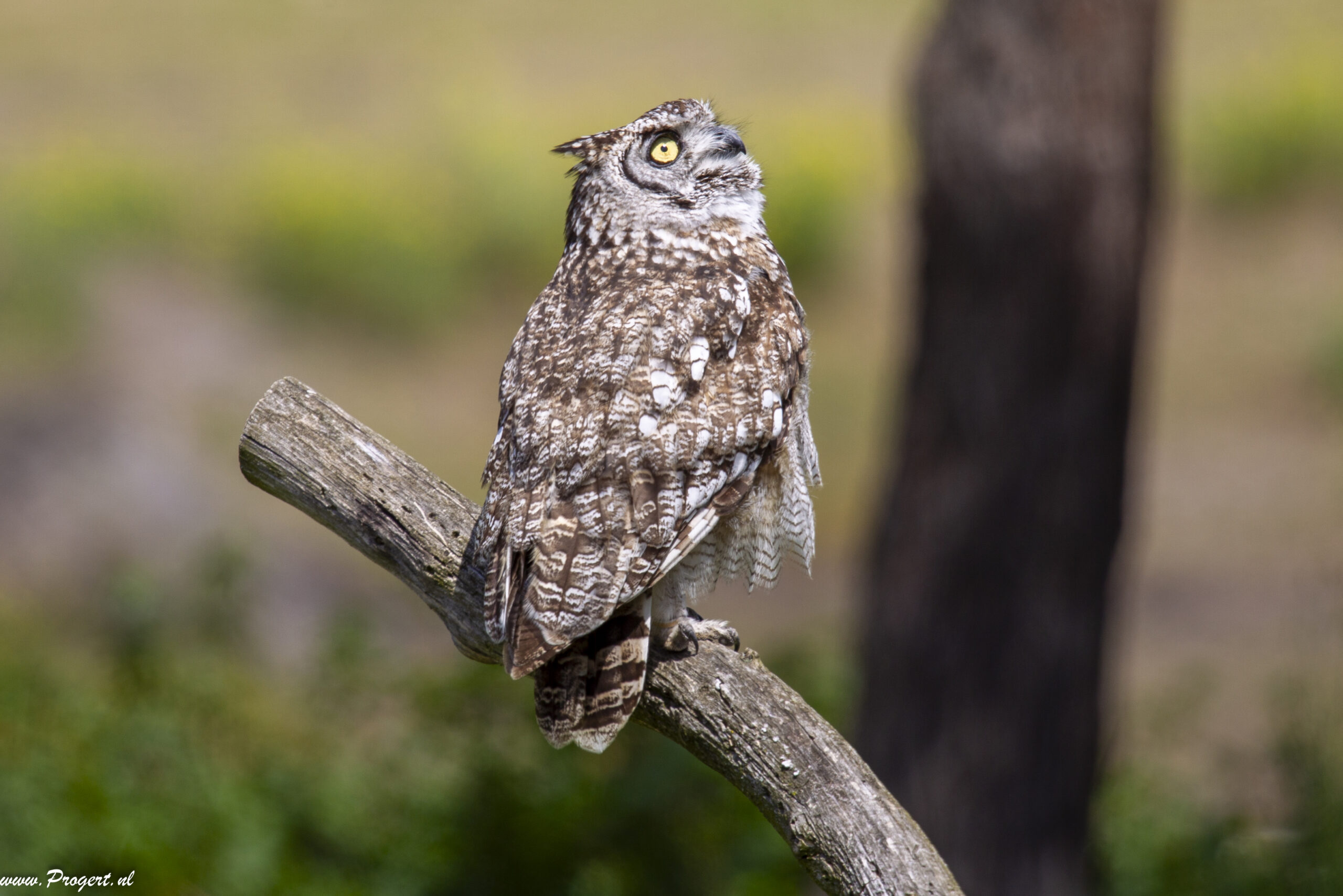 Zoo Veldhoven.